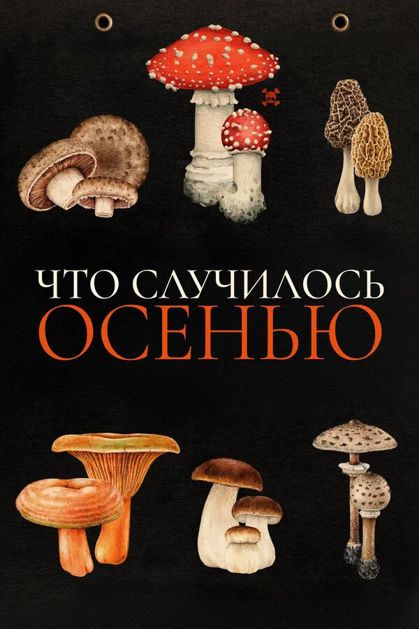 Что случилось осенью - постер фильма